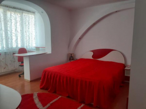 Apartament Puiu